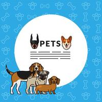 five dogs pets mascots breed characters with lettering in circular frame vector