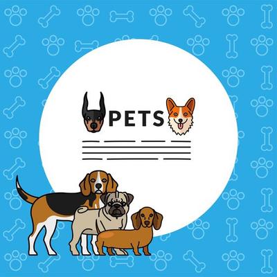 five dogs pets mascots breed characters with lettering in circular frame