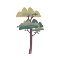 tree plant forest isolated icon vector