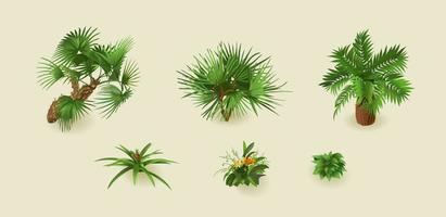 Plantas de palmeras tropicales sobre un fondo claro para diseño de interiores en isométrico. ilustración vectorial vector