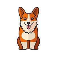 icelandic sheepdog pet mascot breed character vector