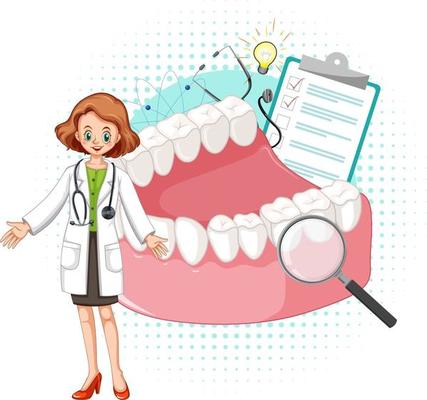 Dentist and teeth model on white background