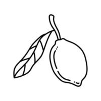 lemon with leaf fruit line style icon vector design