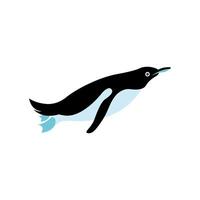 Isolated penguin animal vector design