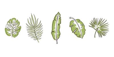 Green Exotic Leaves Set vector