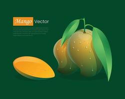 vector realista de mango, fruta de mango entera y en rodajas con concepto de hoja