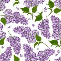 Lilac seamless pattern. Hand drawn vector background of branches blooms  purple flowers.