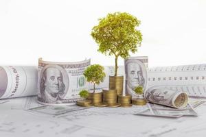 The tree is growing both on the progress of money and financial reports, along with financial accounts, business, investment on the investor's table. Front investment concept photo