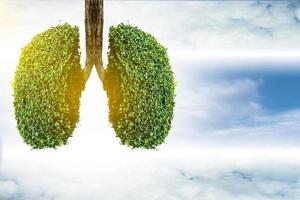 Lung green tree-shaped images, medical concepts, autopsy, 3D display and animals as an element photo