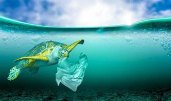 Contaminación plástica en problemas ambientales marinos Los animales en el mar no pueden vivir. y causar contaminación plástica en el concepto ambiental del océano. foto