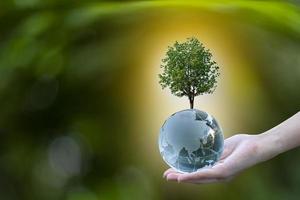 concepto de energía renovable día de la tierra o protección del medio ambiente manos protegen los bosques que crecen en el suelo y ayudan a salvar el mundo. foto