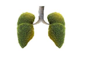 Ilustración del medio ambiente y la medicina del árbol pulmonar. foto