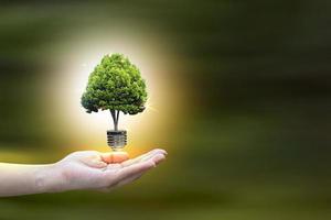 Renewable energy concept Earth Day or environment protection Hands protect forests that grow on the ground and help save the world. photo
