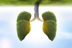 Ilustración del medio ambiente y la medicina del árbol pulmonar. foto