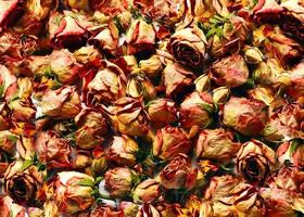 Pink and yellow dried roses table top backdrop photo