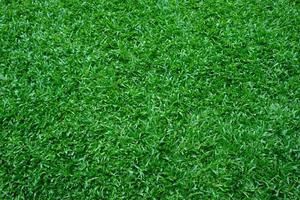 Green grass background, football field photo