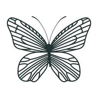 pretty butterfly icon vector