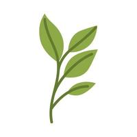 green leaves isolated vector