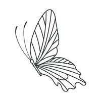 lovely side butterfly vector