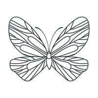 linda ilustración de mariposa vector