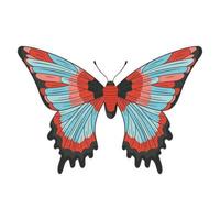 beautiful blue butterfly vector