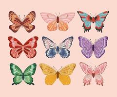 lindo conjunto de mariposas vector