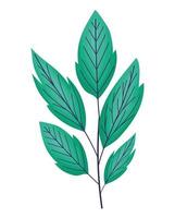 cute emerald leaves vector