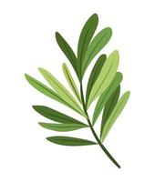 stem with leaves vector