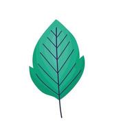 emerald leaf icon vector