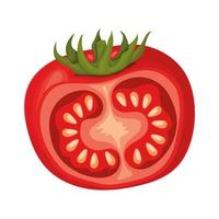 rodaja de tomate vector