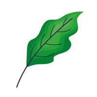 stem and leaf vector