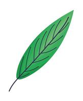 cute green leaf vector