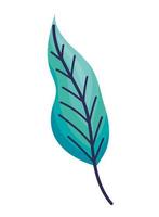 turquoise leaf illustration vector