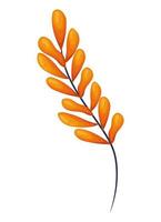 orange plant icon vector