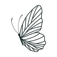 linda ilustración de mariposa vector
