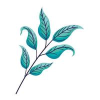 beautiful turquoise leaves vector