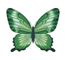 green butterfly icon vector