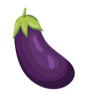 fresh eggplant icon vector