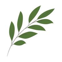 stem with eight green leaves in the sides vector