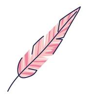 pink feather on a white background vector