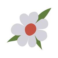 flower with a white color vector