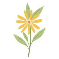 flower with a yellow color on a white background vector