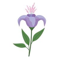 flower with a purple color on a white background vector