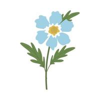 sunflower with a blue color on a white background vector