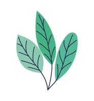 three leaves on a white background vector