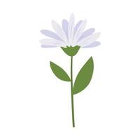 flower with a white color vector