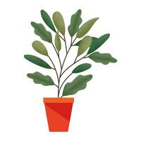 plant with a lot of leaves in a pot vector