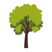 tree in a white background vector