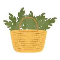 basket full of green leaves on a white background vector