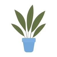 plant inside a pot on a white background vector